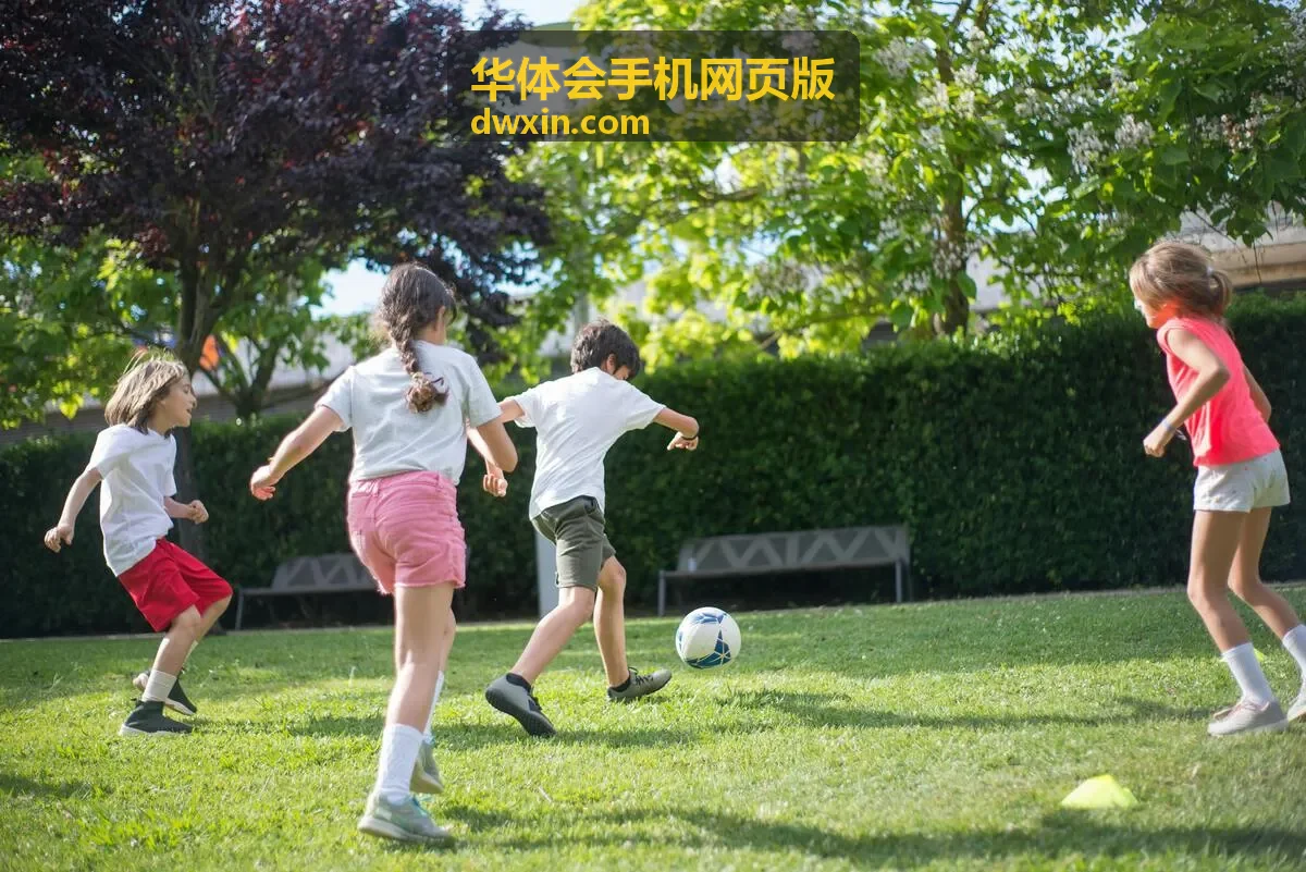 华体会手机网页版抢先看栏目内容封面